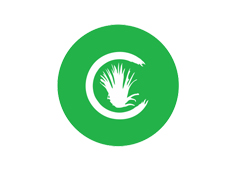 Client Logo 16